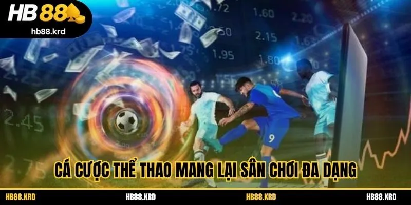 Cá cược thể thao mang lại sân chơi đa dạng