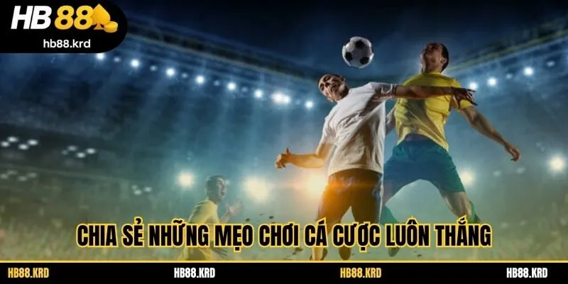 Chia sẻ những mẹo chơi cá cược luôn thắng