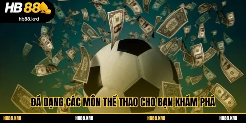 Đá dạng các môn thể thao cho bạn khám phá