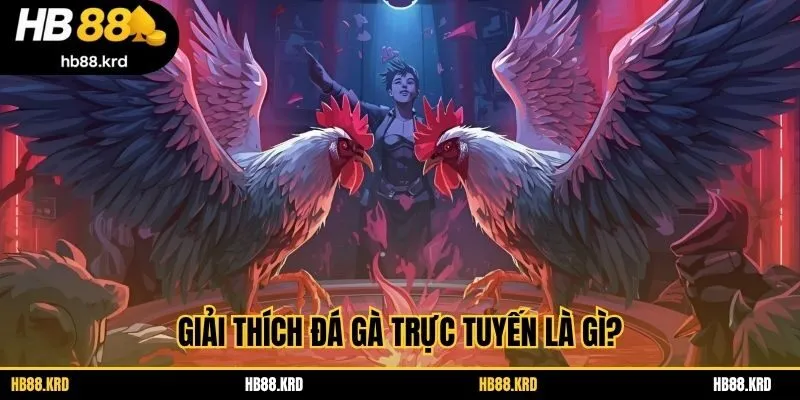 Giải thích đá gà trực tuyến là gì?