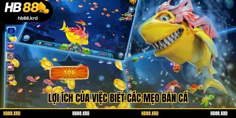 Lợi ích của việc biết các mẹo bắn cá