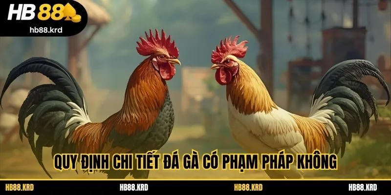 Quy định chi tiết đá gà có phạm pháp không