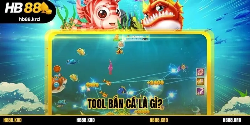Tool bắn cá là gì?