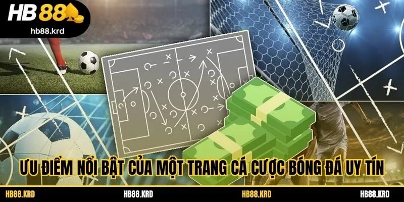 Ưu điểm nổi bật của một trang cá cược bóng đá uy tín