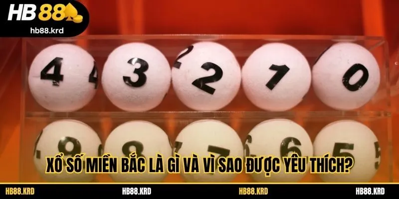 Xổ số miền Bắc là gì và vì sao được yêu thích?